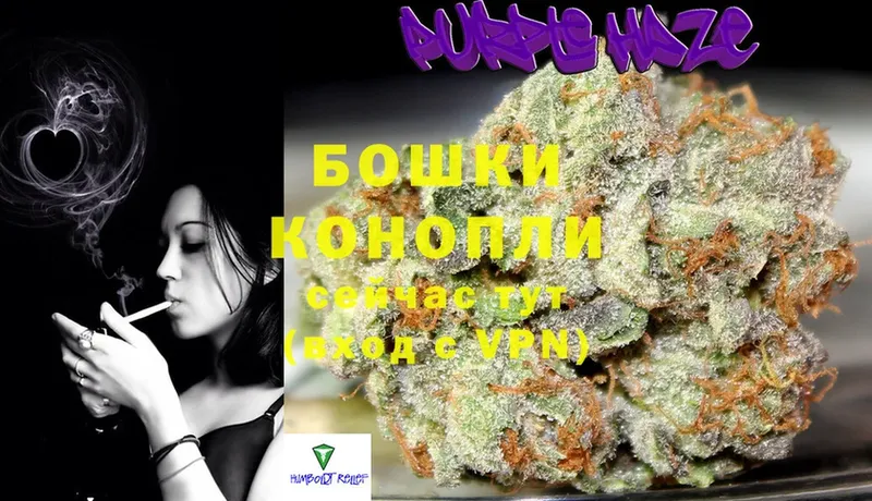 ОМГ ОМГ ссылка  купить наркоту  Уржум  Шишки марихуана Ganja 